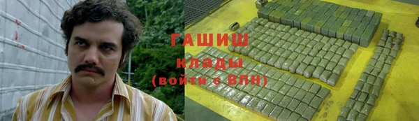 2c-b Бородино