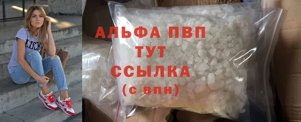 2c-b Бородино