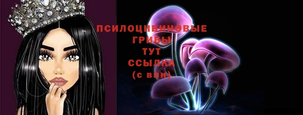 2c-b Бородино