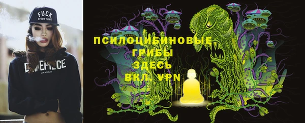 2c-b Бородино