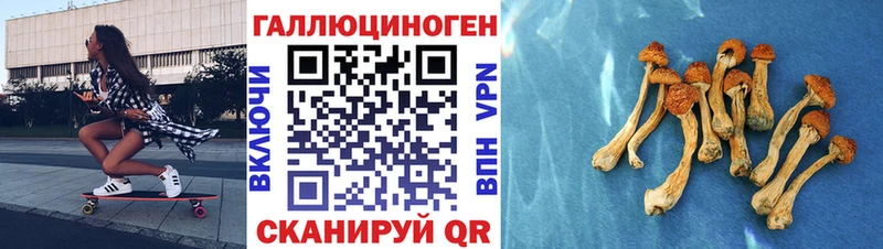 Псилоцибиновые грибы мицелий Чебоксары
